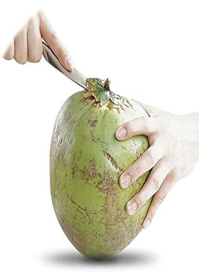 CLOUDTAIL CHOICE Coconut Opener Tool Stainless Steel Coconut Opener Water Punch Tap Drill Straw Open Hole Cut Gift Fruit Openers Tools - Image 5